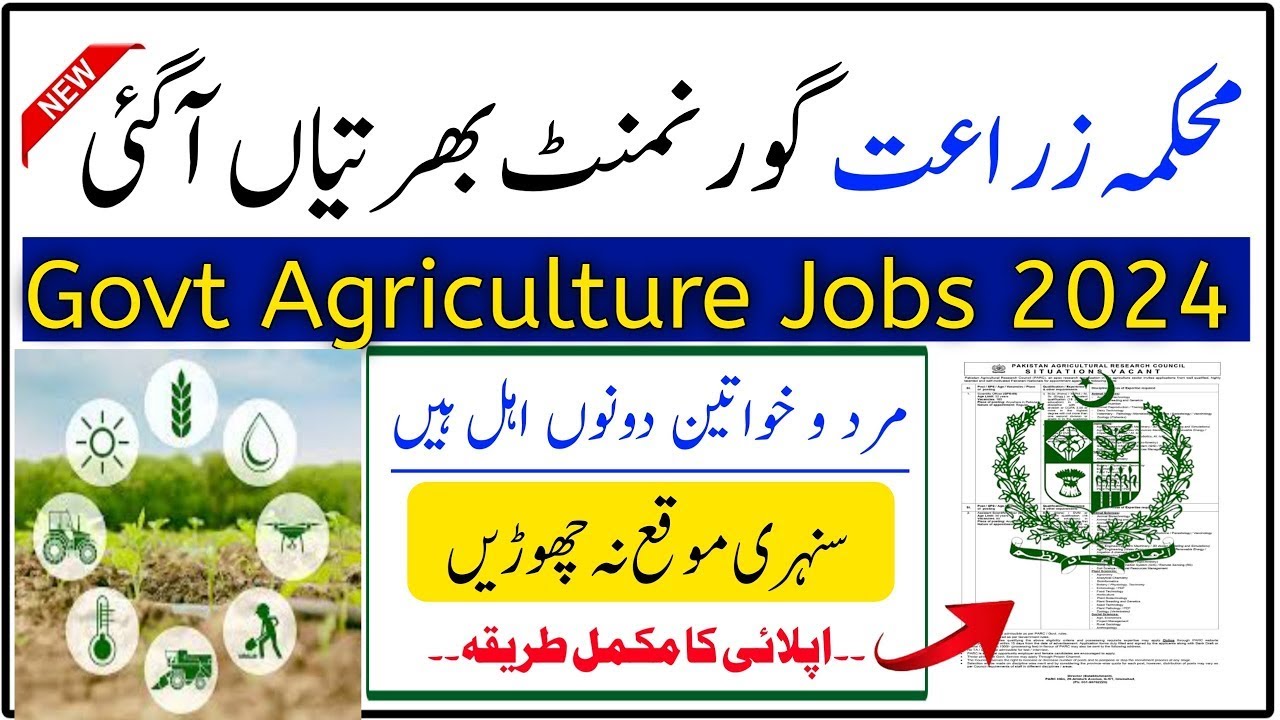 Agriculture Department Punjab Jobs 2024