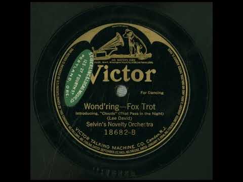 Wond'ring - Selvin's Novelty Orchestra