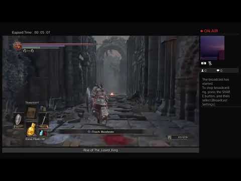 DS3 Run Pt. 80