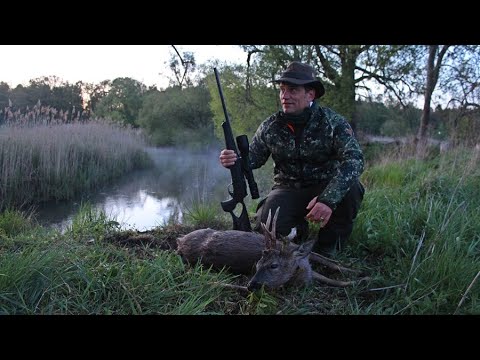 Rehbock Jagd - 3 alte Böcke Roedeer Jakt | Pachtgemeinschaft's WE - Jagdkrone