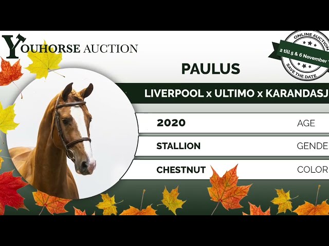 Paulus homevideo