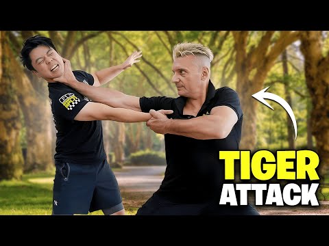 REAL Tiger Claw Kung Fu Explained