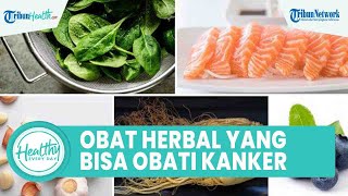 Inilah Obat Herbal yang Bisa Obati Kanker Usus Hanya di Rumah, Kunyit hingga Bawang Putih