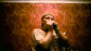 Zemlemer   roller coaster by Little Walter