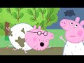 Peppa S Muddy Rain Run ‍ ️ Peppa Pig Full Kids Episodes 30 Minutes