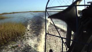 Murder For The Money