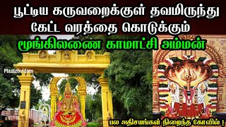 Temple video