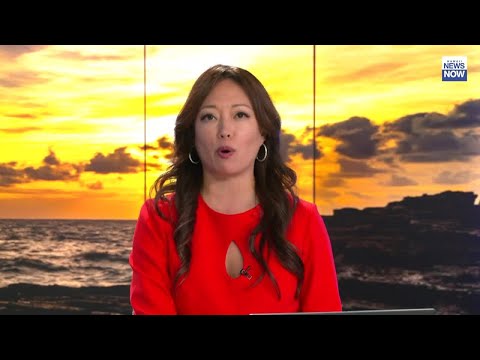 HNN News Brief (Feb. 3, 2023)