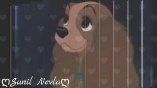 💕Part 1//For Zoe Szafraniak\\"Baby Steps"💕