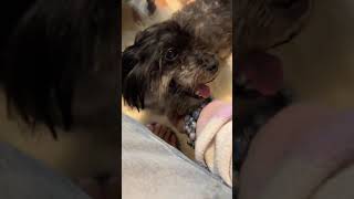 Absolutely heartbreaking the condition this poor baby boy is in!! Absolutely heartbreaking the condition this poor baby boy is in!!