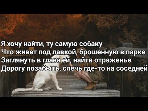 Канги - Собака (Я хочу найти самую собаку) (Lyrics, Текст) (Премьера трека)