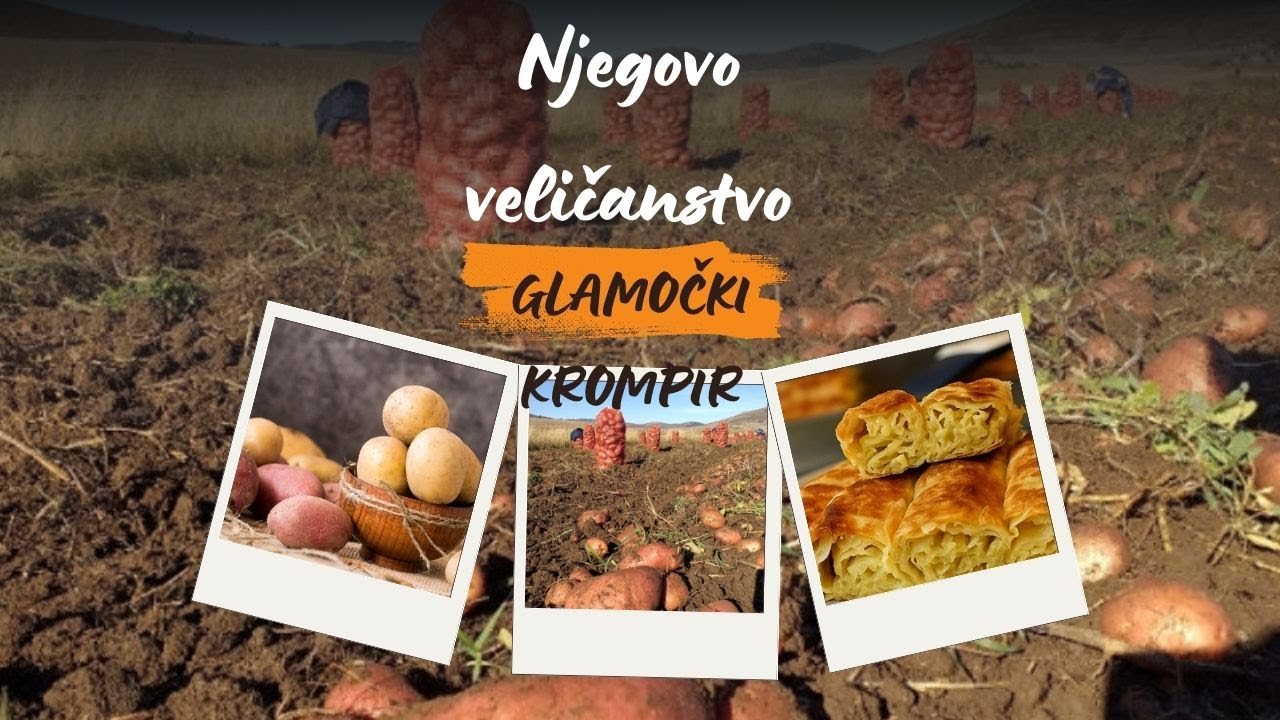 Gastro&Bar TV ~ Glamočki krompir