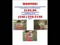 Wanted Dead Or Alive