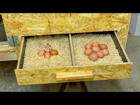 , title : 'Kurník - 2.část - Výroba / DIY Hen house / Chicken coop - Part 2 - Building'