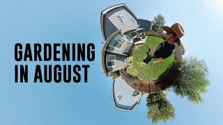 August Garden Tasks and Tips