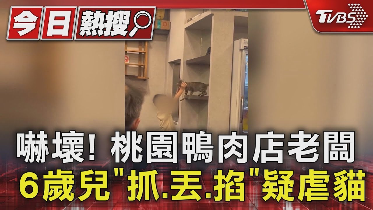 6歲童竟「掐脖懸空」甩貓 鴨肉店老闆父親自責沒教好