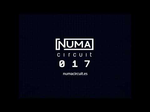 NUMAcircuit 017 - spot glitch