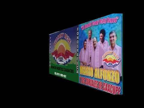 MARIO ALFONZO Y LOS ZORZALES CAACUPE -04- TATU CHE MBOHASYETE