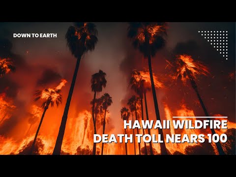 How is the wildfire going to impact the beautiful Maui Island | Hawaii Wildfire