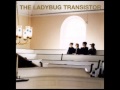 The Ladybug Transistor - NY San Anton