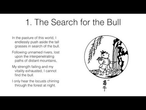 Ten Bulls of Zen