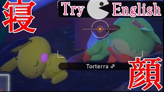 Newポケモンスナップで寝顔撮影したい配信！