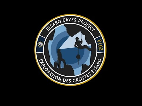 This is Bisaro Anima