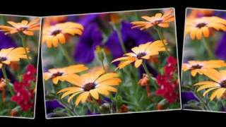 Hayley Westenra- Listen To The Wind