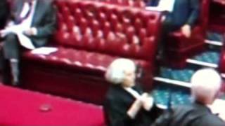 Uk house of lords- lords speaker lacks power