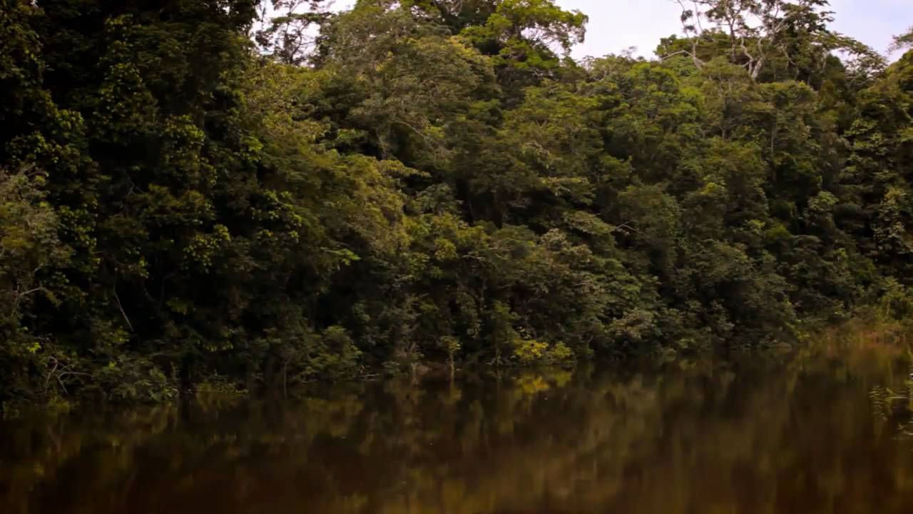 Biomapas Petrobras - Expedição Amazônia