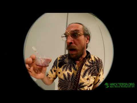 36C3 -  HUMUS sapiens