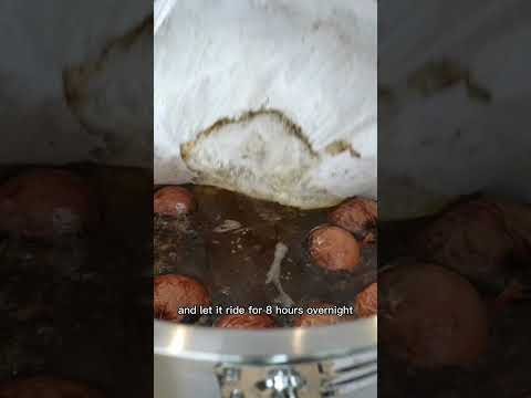 13 Hr Pho Broth [Full Recipe is in the Description]