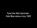 Toad the Wet Sprocket - Pale Blue demo 1987