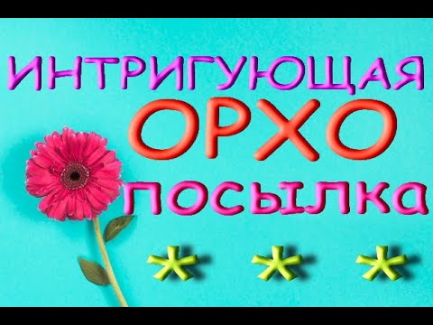 Интригующая ПОСЫЛКА с ОРХИДЕЕЙ - мечтой!!!