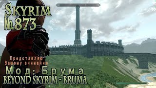 Skyrim s 873 О сколько здесь локаций чудных.... (смотреть тем, у кого настальгия по Обливиону)
