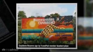 preview picture of video 'Cuyabeno Reserve - Cuyabeno, Ecuador'