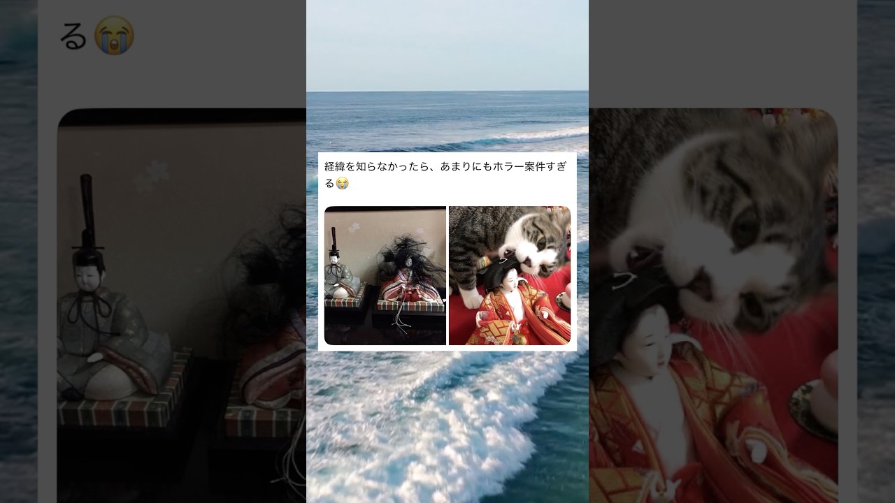 あまりにもホラー案件すぎる #shorts #おもしろ #おすすめ #twitter