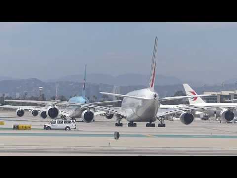 download lagu mp3 mp4 Hollywood Orchid Suites Qantas, download lagu Hollywood Orchid Suites Qantas gratis, unduh video klip Hollywood Orchid Suites Qantas