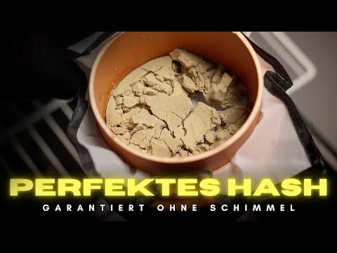 H@SH Vac - Perfect H@SH drying with this simple technique