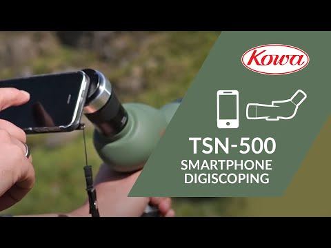 Smartphone Digiscoping with the Super Compact Kowa TSN-500 Spotting Scope