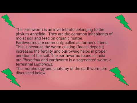 FORM AND MOVEMENT IN ANIMALS