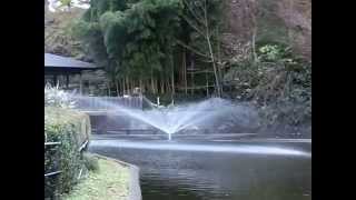 preview picture of video '[ZR-850]川口グリーンセンター 白鳥の池の噴水[30-240fps] -The fountain in the Swan Pond, Kawaguchi Green Center-'