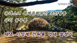 유네스코 세계문화유산 조선왕릉 동구릉 - 건원릉