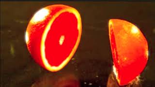 Prinz von Oranje - Prince Of Orange - XTC Cover