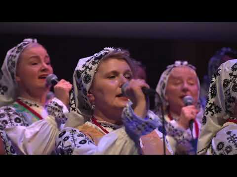 PISKORZE & GROTT ORKIESTRA - Matulu moja