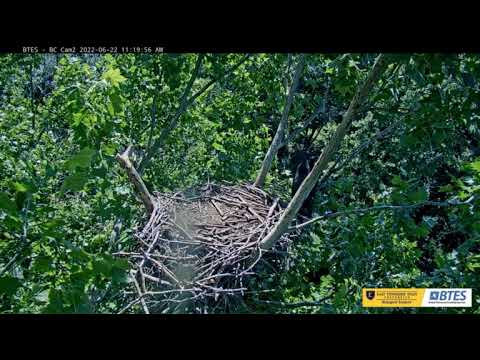 2022 06 22 BC FlyBy 1120am