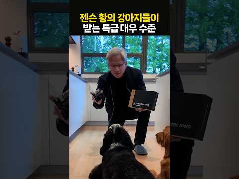 젠슨 황의 반려견이 받는 대우 수준···"개팔자가 상팔자네"