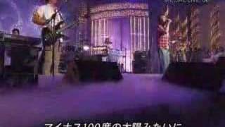 南方之星　真夏的果實