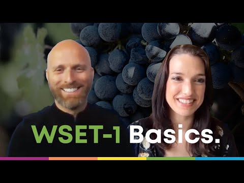 What you need to know about the WSET Level 1
