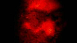 Cover art for Paranoia ~HADES~